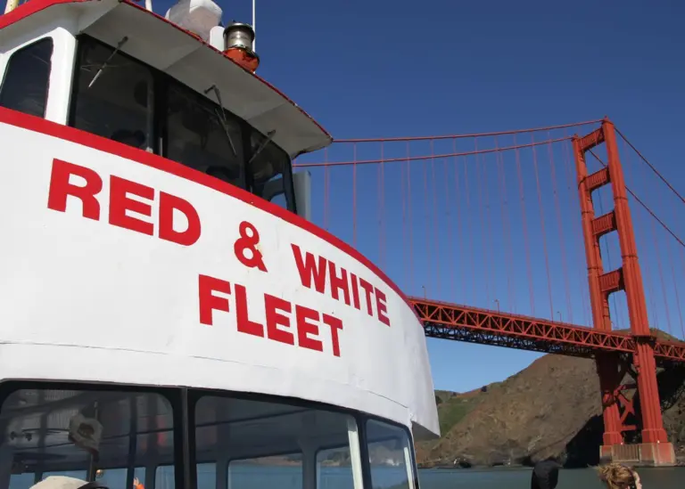 Red and White fleet is partnering up with Sandia to develop a hydrogen fuelled passenger ferry Photo: Red and White Fleet