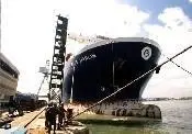 00_78561_bluemarlin