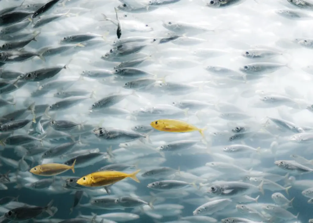 Preserving our ecosystems is one of today’s major challenges