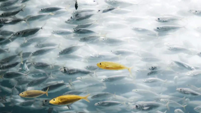 Preserving our ecosystems is one of today’s major challenges