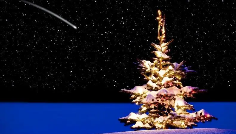 Happy Christmas from The Motorship
