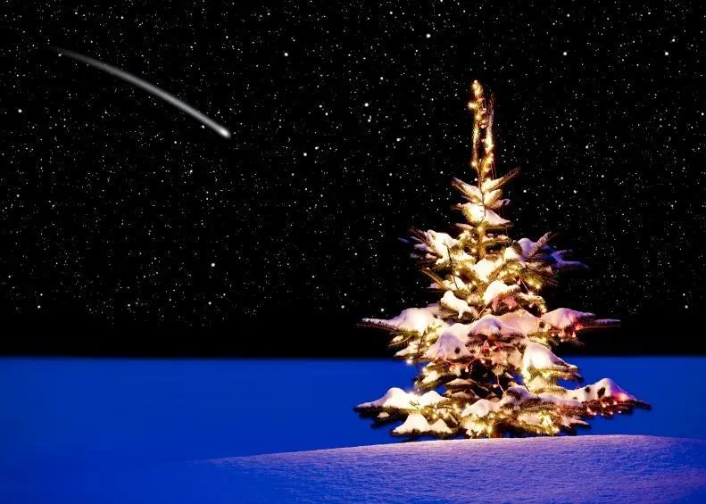 Happy Christmas from The Motorship