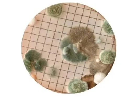The bugs in fuel can cause major problems for offshore platforms
