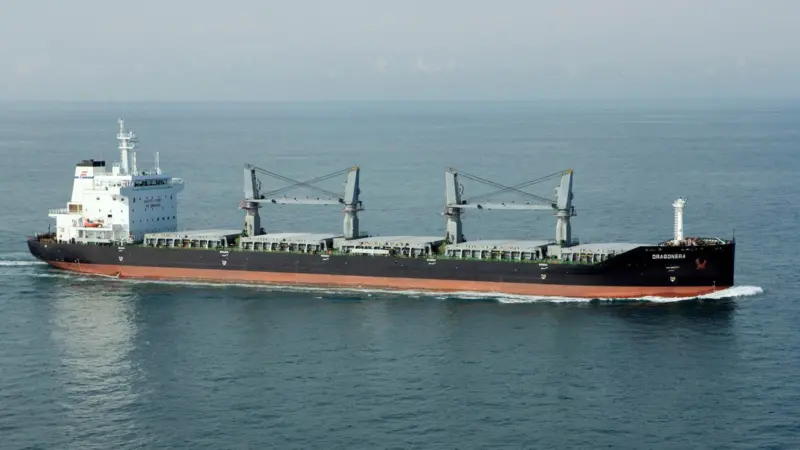 Seahorse 35000 bulker benefits from NPT propeller technology