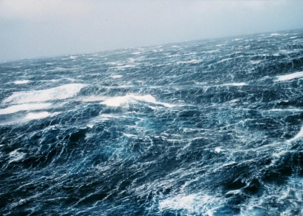 Waves and current data could provide a key to enhanced ship efficiency (NOAA)