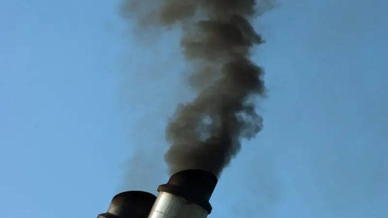 Cleaner marine diesel exhaust is now likely in Japan