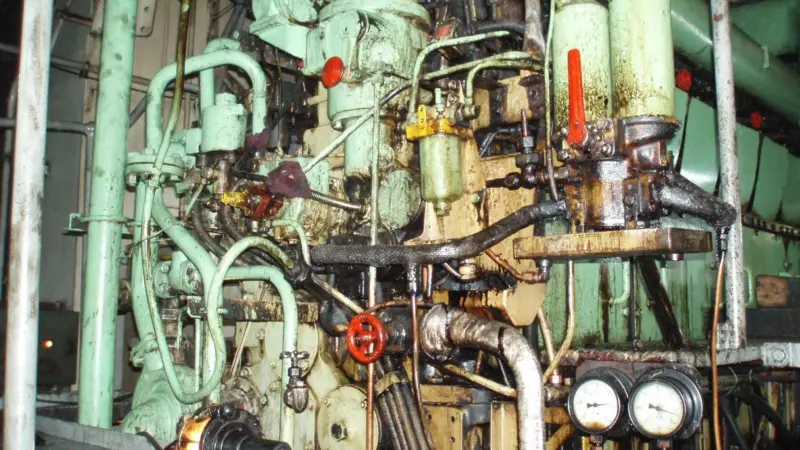 The CIC showed that cleanliness of the main engine and engine room was a particular problem for ships over 20 years old