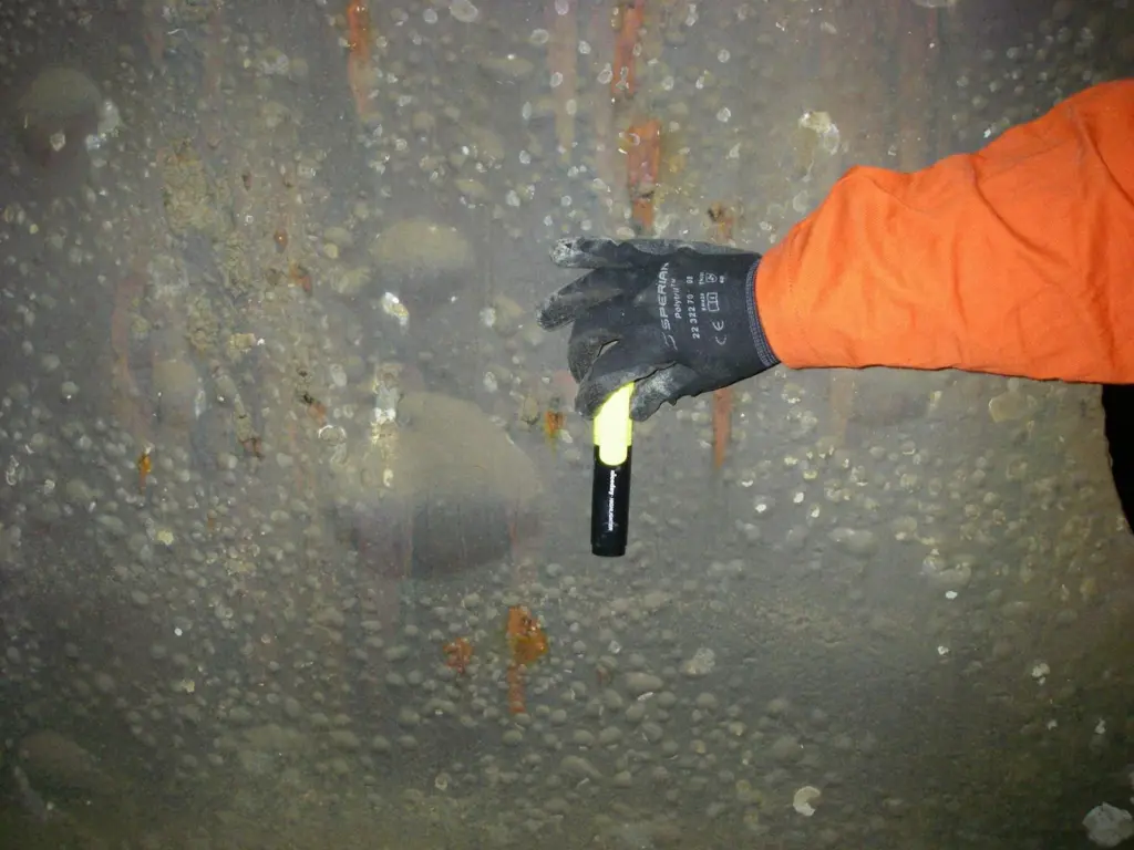 .A survey of over 100 ships did not find a significant difference in the extent of ballast tank corrosion between ships with anodes and those without.