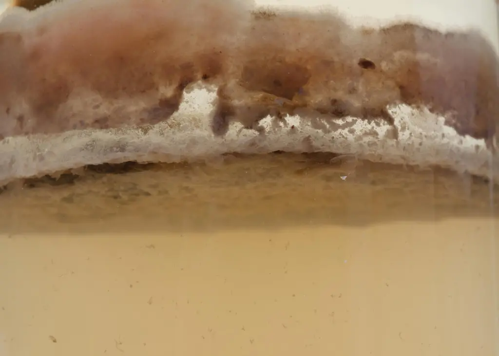 Contaminated fuel
