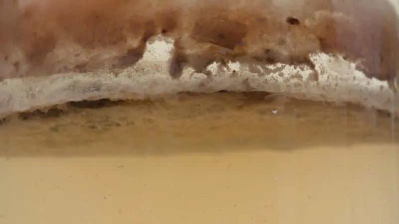 Contaminated fuel