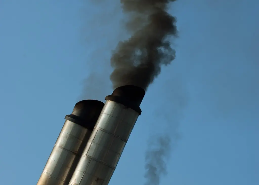 Charterers are increasingly choosing to lower their annual fuel bills and greenhouse gas emissions, say the Carbon War Room