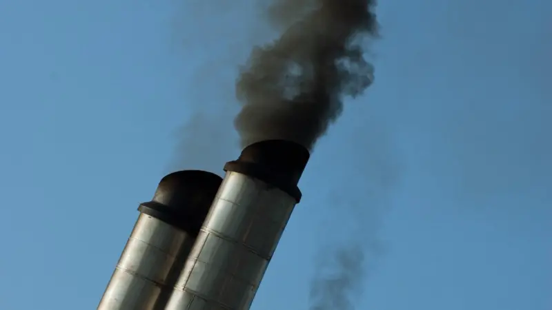 Charterers are increasingly choosing to lower their annual fuel bills and greenhouse gas emissions, say the Carbon War Room