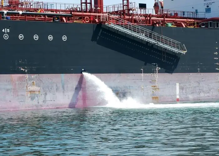 IMO is doing its best to prepare the industry for the implementation of the International Ballast Water Management Convention Photo: IMO