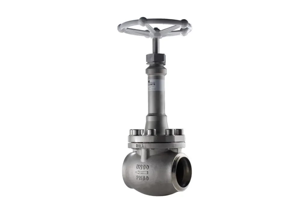Parker Bestobell Marine has supplied Globe and Check valves for Hoegh LNG's new FSRUs