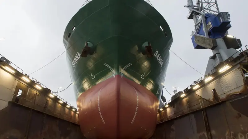 The recently acquired bulker 'Sanna' was among four brought back into service for CN Bulkers by Damen Shiprepair