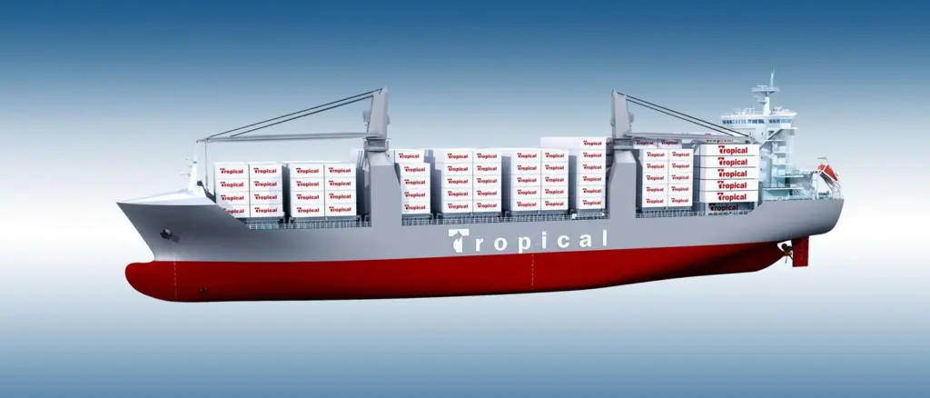 The first two container vessels in the series are under construction at Guangzhou Wenchong Shipyard in China