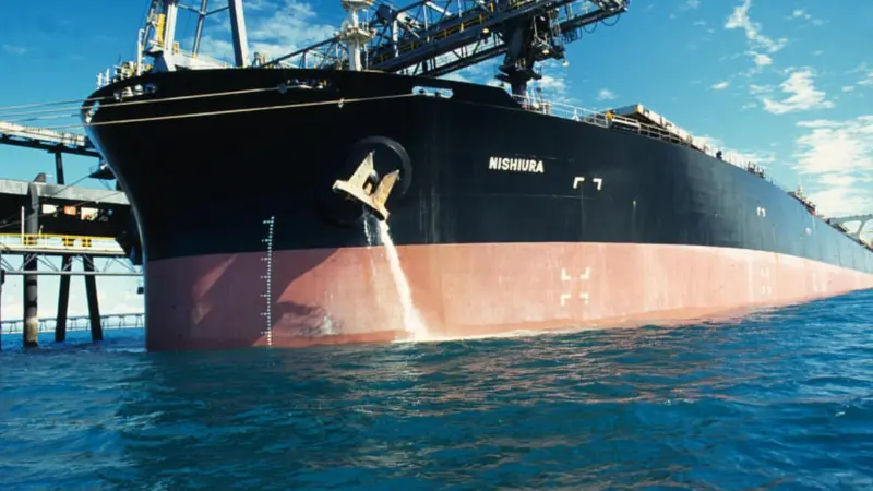 The arrangement of many bulk carrier ballast water systems present unique treatment challenges for the sector