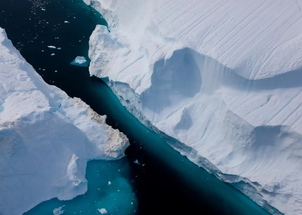 Arctic