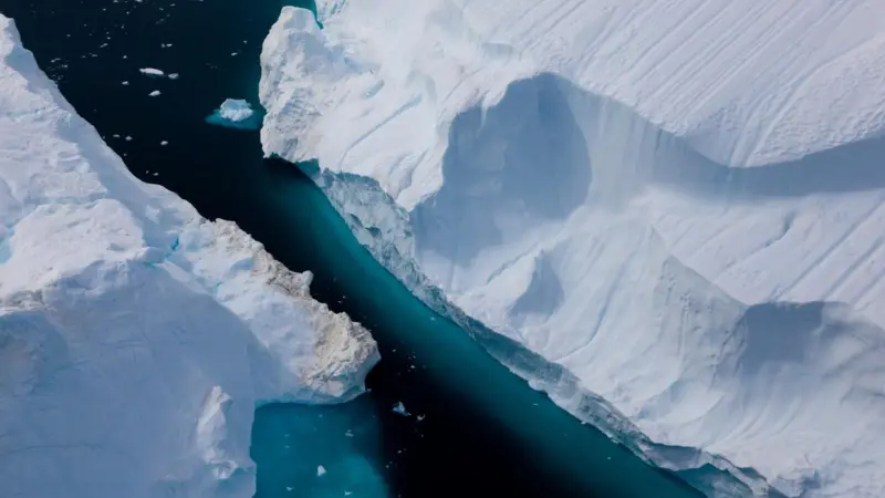 Arctic