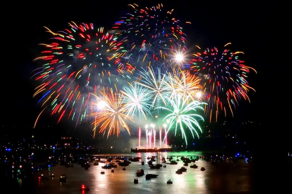 00_85264_fireworks