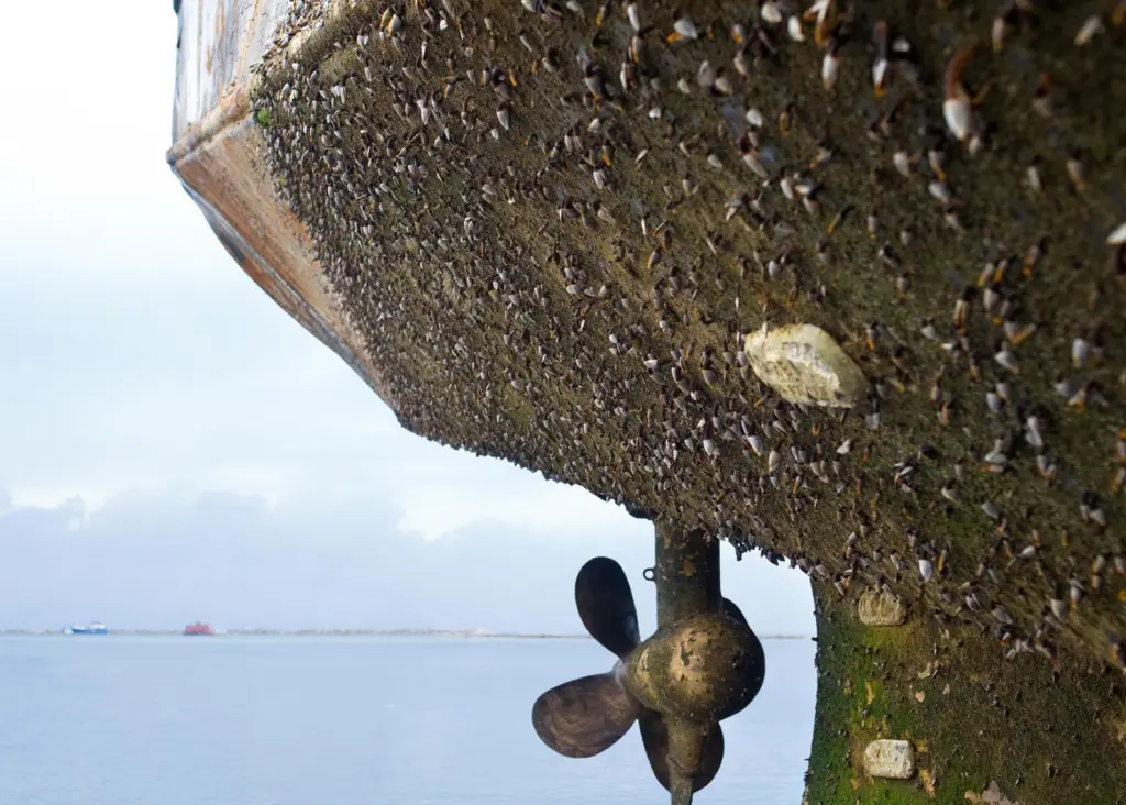 Could global legislation for hull fouling be on the agenda?