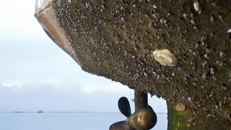 Could global legislation for hull fouling be on the agenda?