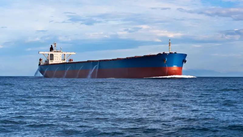 Capesize and very large ore carriers are in need of a tailored ballast water solution, according to Coldharbour Marine