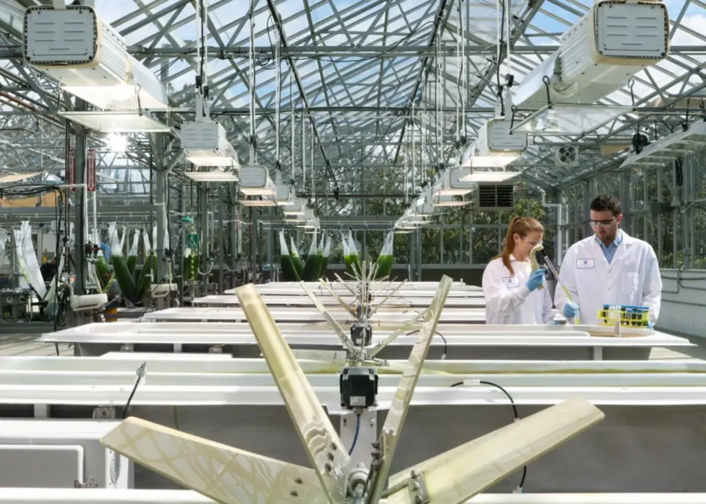 Biofuels research