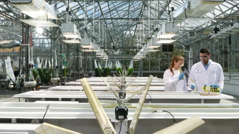 Biofuels research