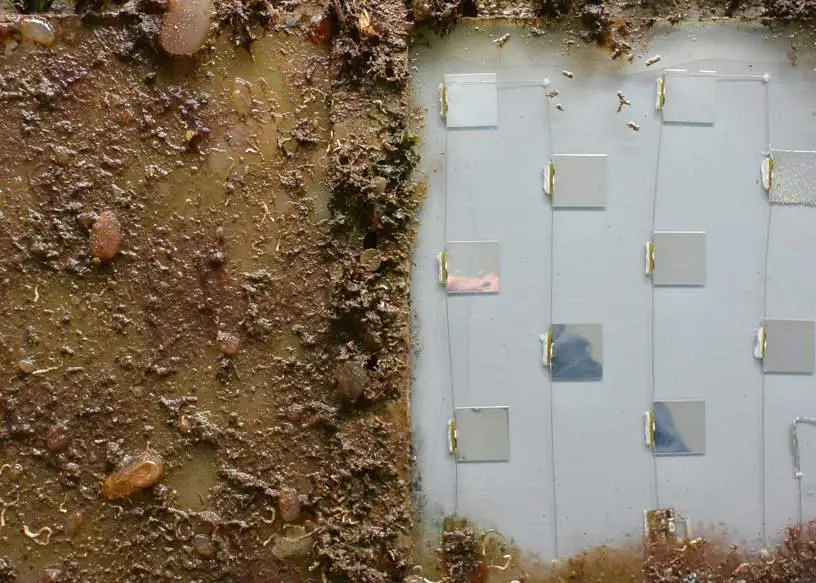 Ultraviolet LED and protective coating technology could combine to tackle underwater biofouling