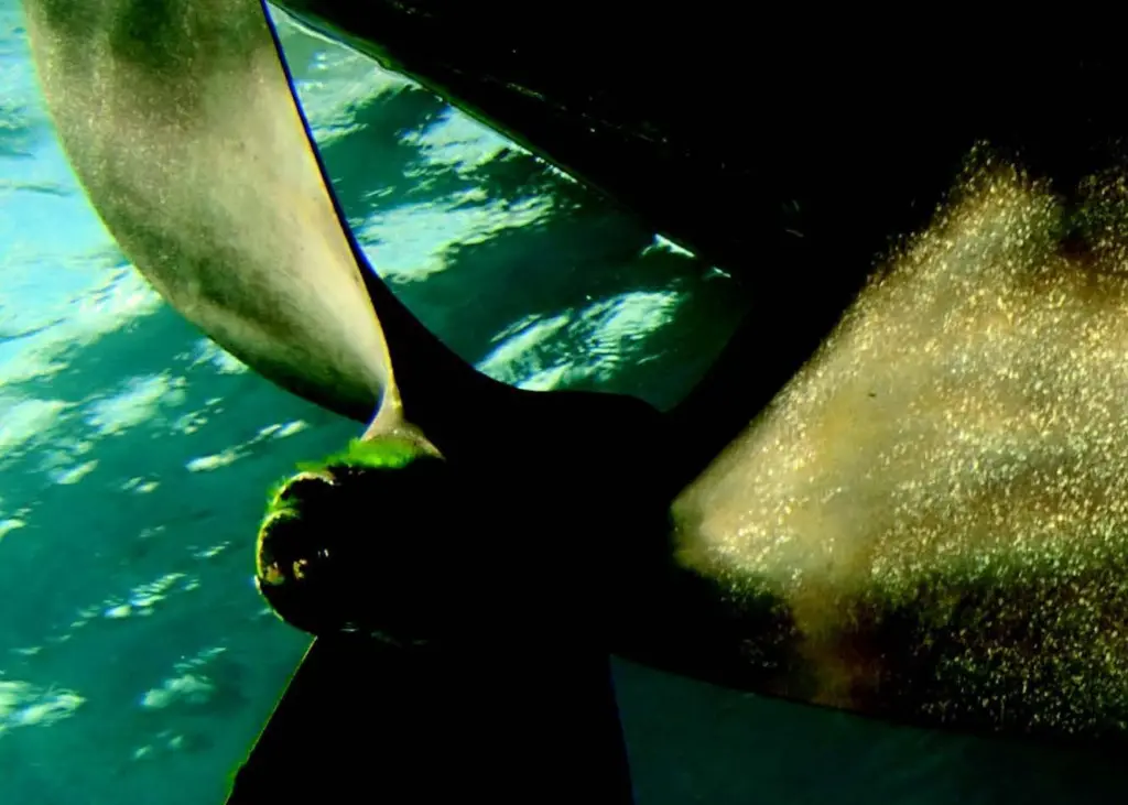 Underwater noise control
