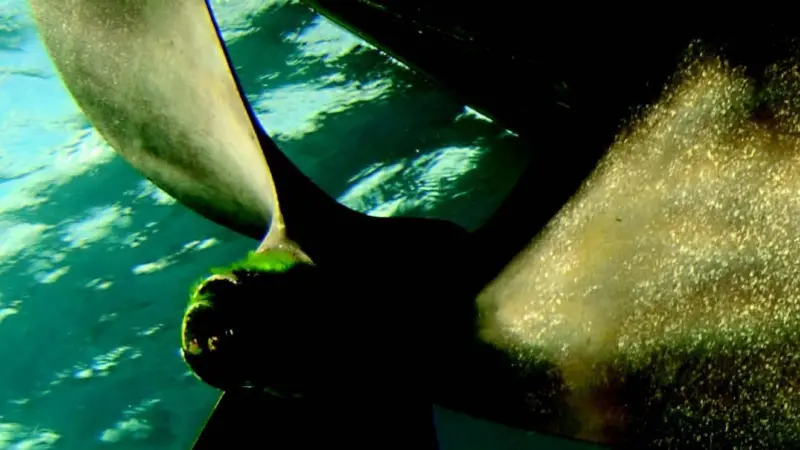 Underwater noise control