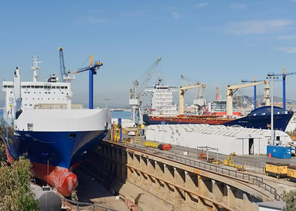 'MN Calao' and container ship 'Ops Hamburg' in dock at Gibdock