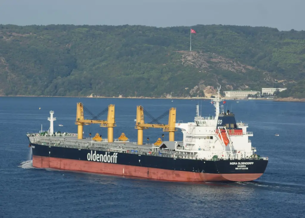 Oldendorff Carriers is implementing fleet and ship performance monitoring systems Photo: Datum Electronics