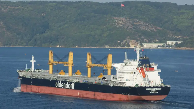 Oldendorff Carriers is implementing fleet and ship performance monitoring systems Photo: Datum Electronics