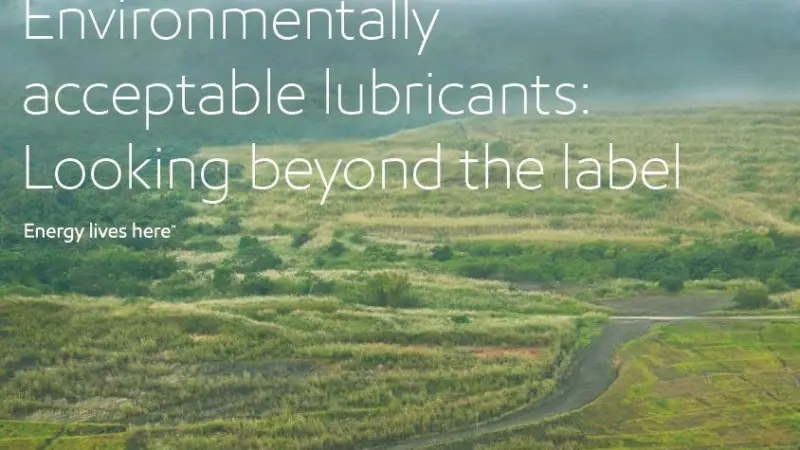 Environmentally Acceptable Lubricants: Beyond the label