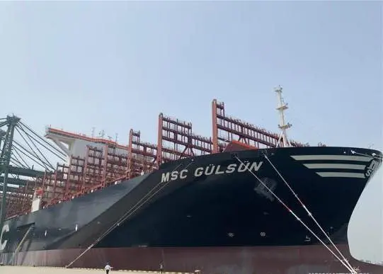 MSC Gulsun