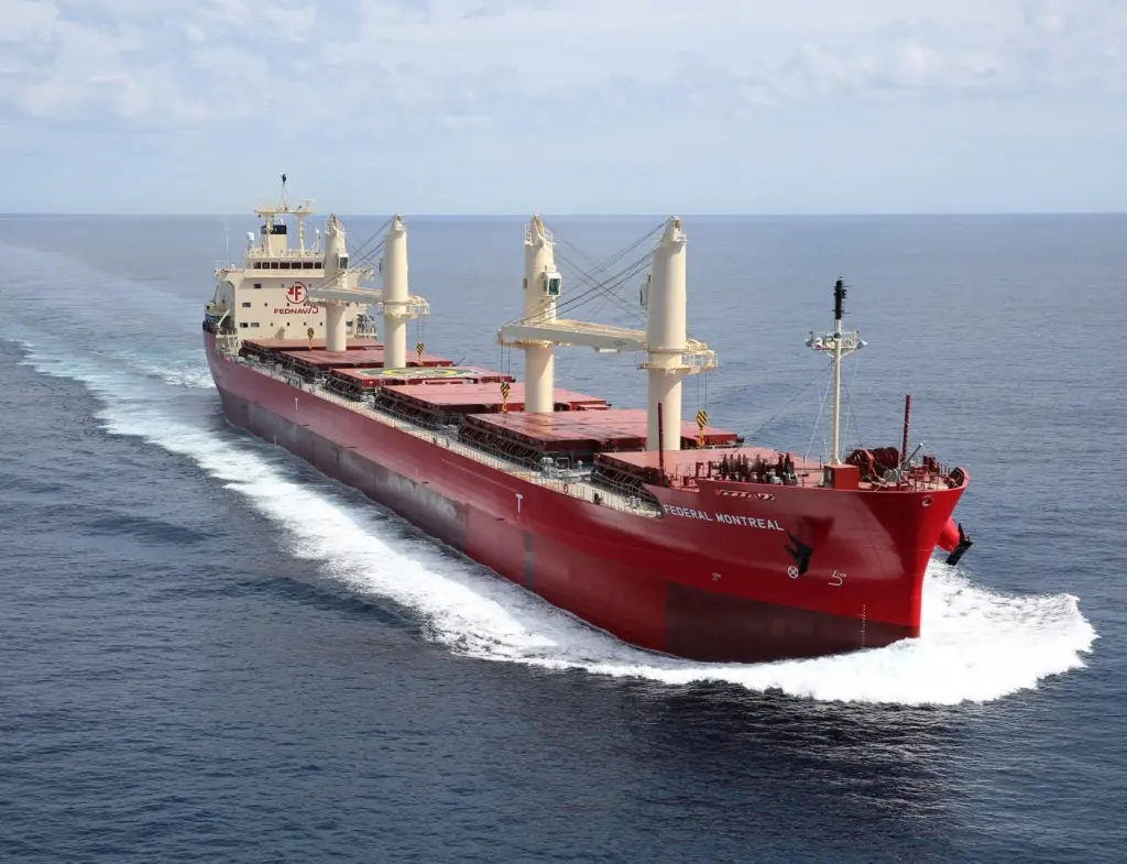 Federal Montreal, 18th in a 22-ship handysize series from Oshima (courtesy of DNV GL).