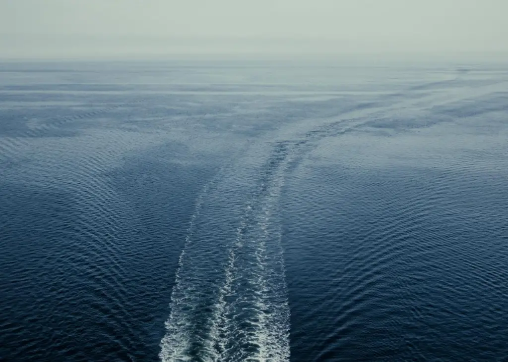 A new research and innovation centre in Copenhagen is intended to accelerate the decarbonisation of the shipping industry.