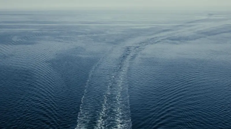 A new research and innovation centre in Copenhagen is intended to accelerate the decarbonisation of the shipping industry.