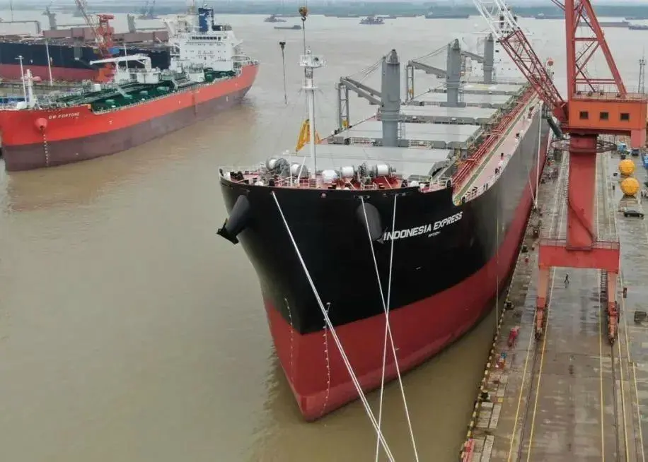 Chengxi-built woodchip carrier Indonesia Express.
