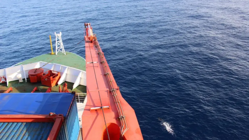 The interdisciplinary SATURN project includes DNV GL, BV and Wärtsilä among its participants © Pauhla McGrane
