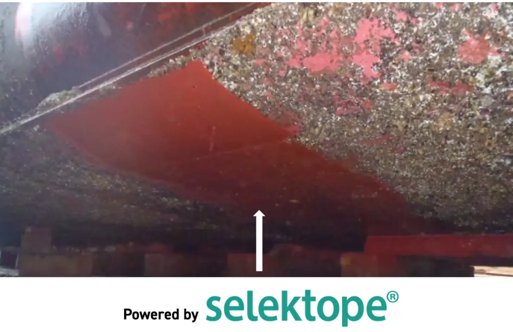 The results of a patch test of Selektope containing paint in Tokyo Bay after 12 months.