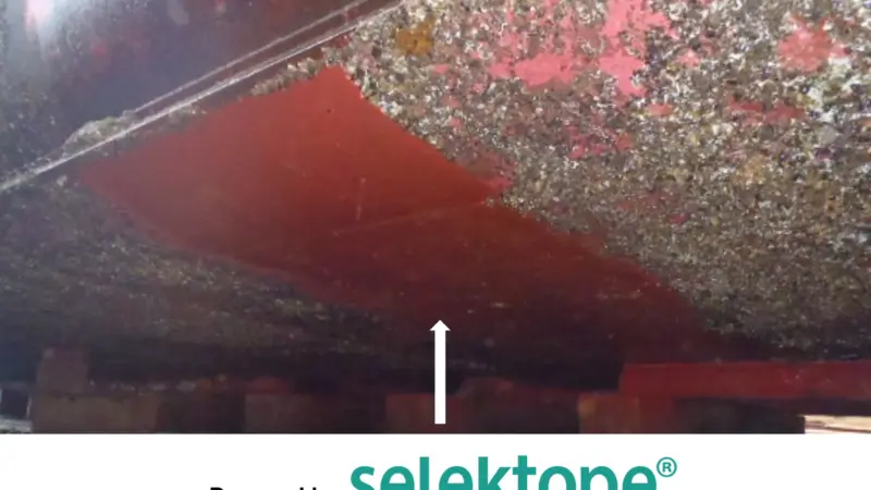 The results of a patch test of Selektope containing paint in Tokyo Bay after 12 months.