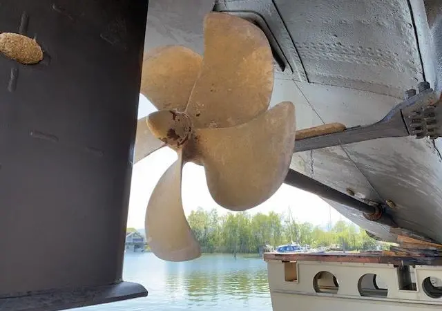 The propeller shaft of the MS ‘Österreich’ with COMPAC bearings Photo: Thordon Bearings