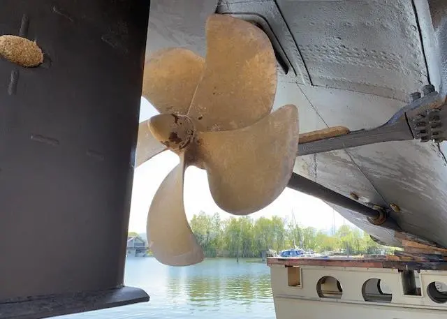 The propeller shaft of the MS ‘Österreich’ with COMPAC bearings Photo: Thordon Bearings