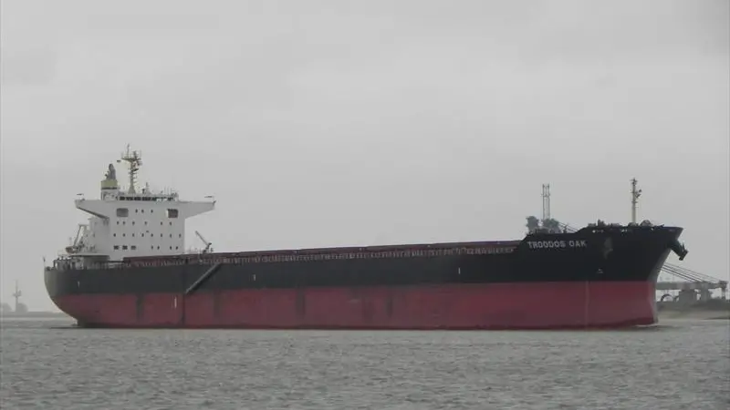 Safe Bulkers achieved a 13.54% CO2 equivalent reduction during a trial of biofuels on the Troodos Oak.