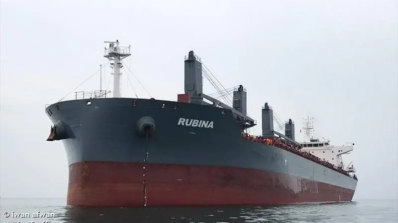 A pilot valve malfunction contributed to the grounding of the Rubina on the river Weser in Germany in 2020, a BSU investigation has concluded.