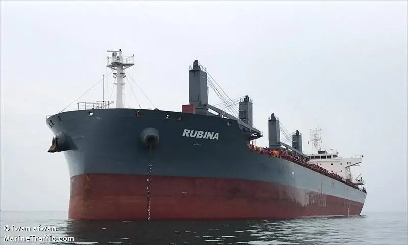 A pilot valve malfunction contributed to the grounding of the Rubina on the river Weser in Germany in 2020, a BSU investigation has concluded.