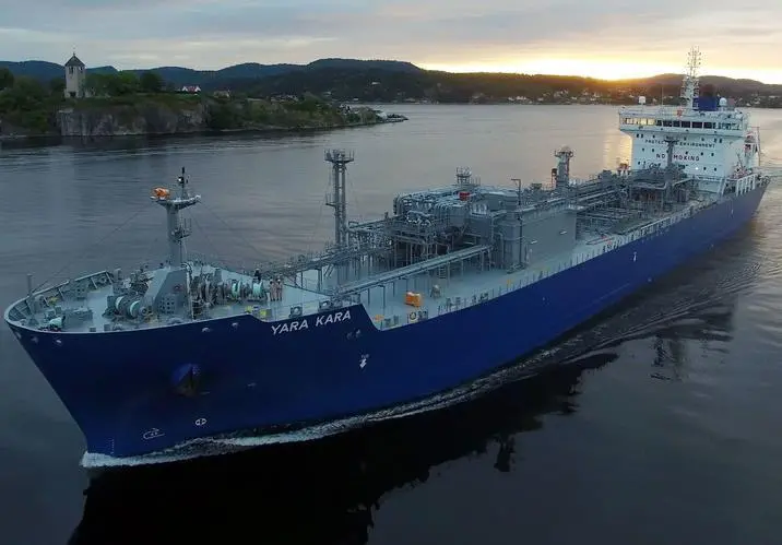The potential expansion of ammonia-fuelled shipping is expected to create additional demand for self-powered ammonia leakage monitor systems.
